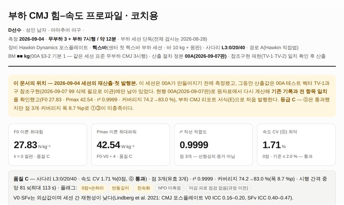 머리말 — 이 문서의 위치와 품질 요약