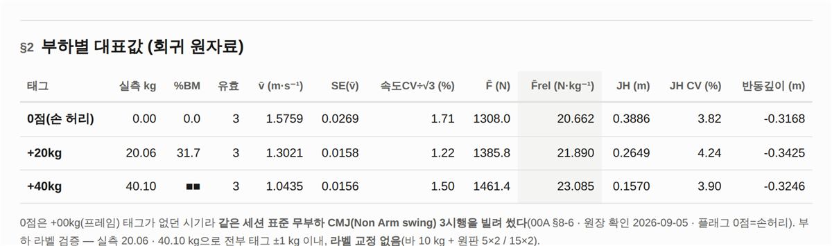 §2 부하별 대표값 — 회귀에 쓰인 원자료