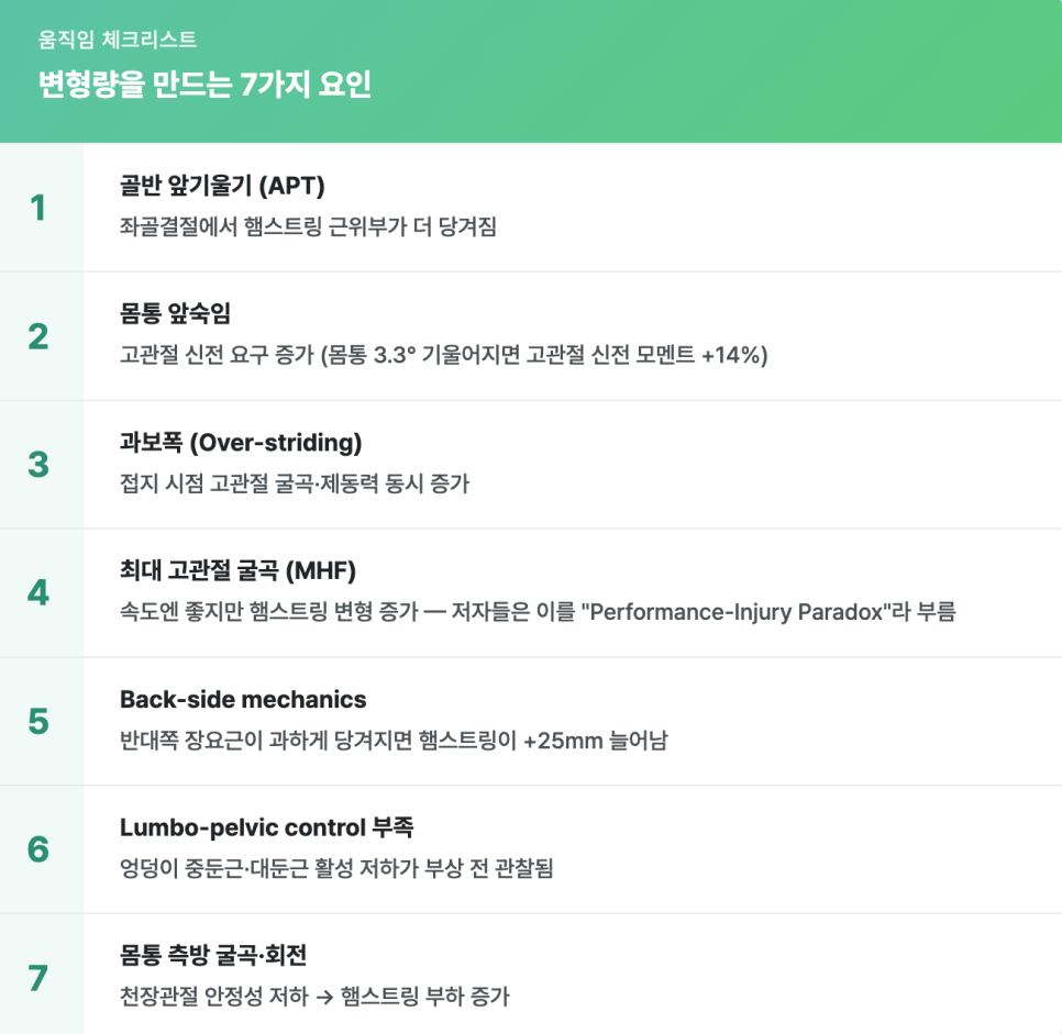 햄스트링은 왜 하필 ‘달리다가’ 끊어지나 — 15년 상식을 뒤집는 논문