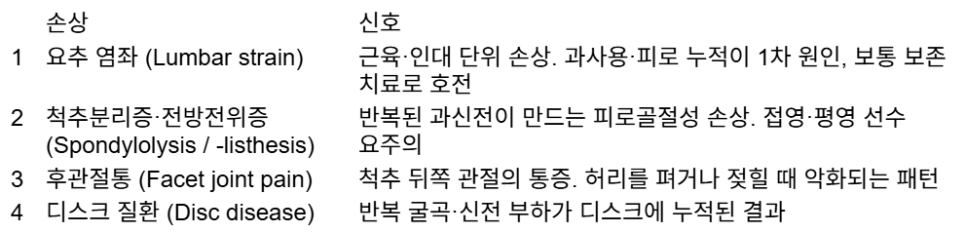 허리 아프면 수영장? 물속이라 안전한게 아니다.